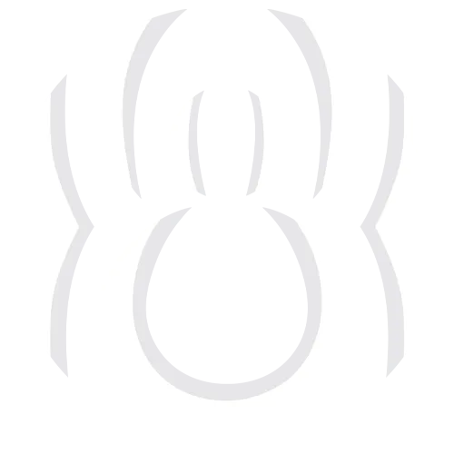 Cobweb E-Sports